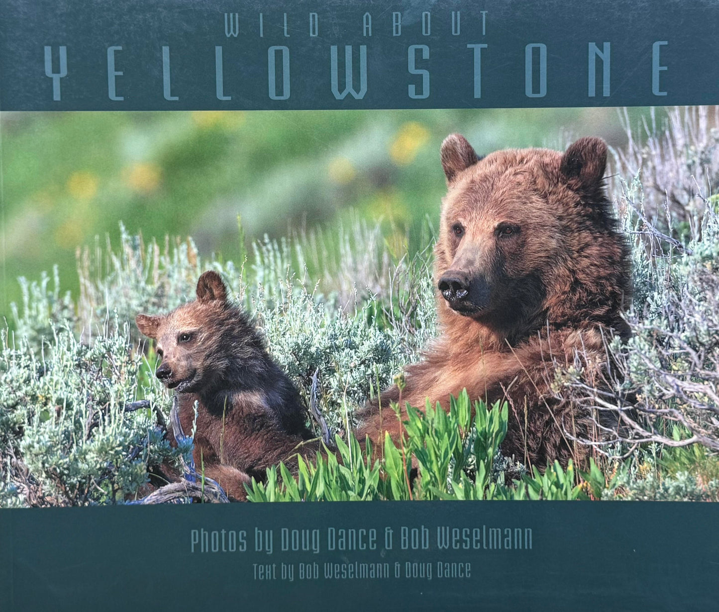 Collection of three (3) Yellowstone Coffee Table books
